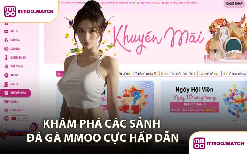Khám Phá Các Sảnh Đá Gà MMOO Cực Hấp Dẫn