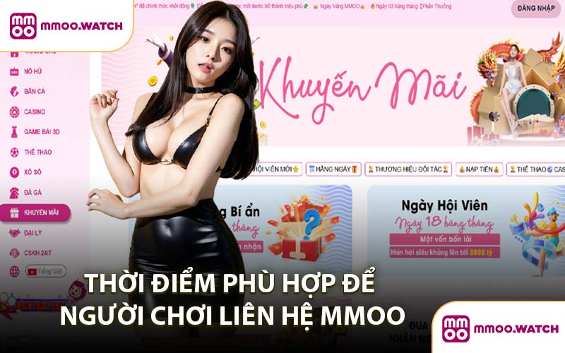Thời Điểm Phù Hợp Để Người Chơi Liên Hệ MMOO