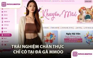 Trải Nghiệm Chân Thực Chỉ Có Tại Đá Gà MMOO