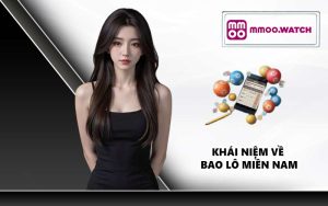 Khái niệm về bao lô miền Nam