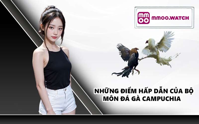 Những điểm hấp dẫn của bộ môn đá gà Campuchia