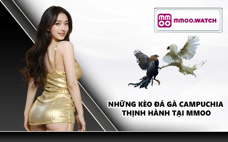 Những kèo đá gà Campuchia thịnh hành tại MMOO
